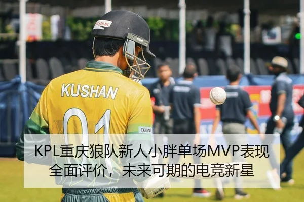 KPL重庆狼队新人小胖单场MVP表现全面评价，未来可期的电竞新星